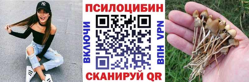 Псилоцибиновые грибы MAGIC MUSHROOMS Куйбышев
